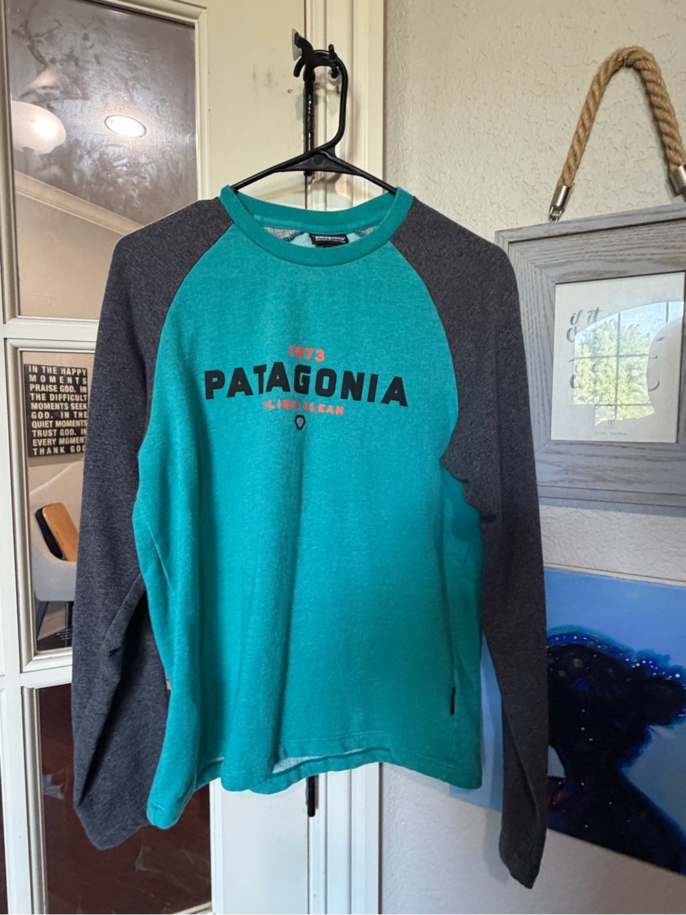 Patagonia XS Organic Cotton Teal Graphic Raglan Sweatshirt Top